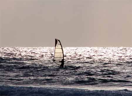 windsurf